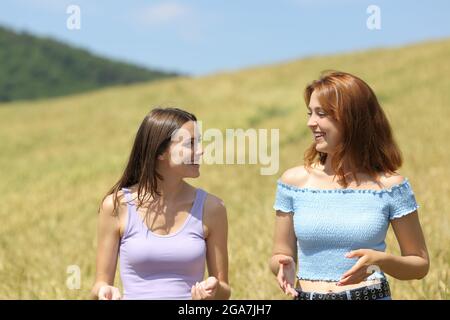 Front view portrait of two happy friends talking walking towards camera in a wheat field Stock Photo