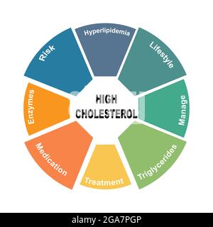 Diagram concept with High Cholesterol text and keywords. EPS 10 isolated on white background Stock Vector