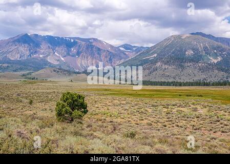 June afternoon from along the June Lake Loop. June Lake, California, USA. This area is referred to as Bloody Canyon. Stock Photo
