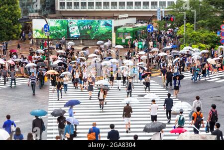 Tokyo, Japan - 21st June 2016: The busy streets of Tokyo on a rainy day. Many people holding umbrellas cross the busy Shibuya Crossing intersection. Stock Photo