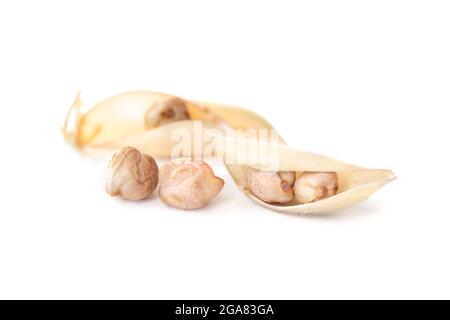 Dried Kabuli chickpea pods. Two split chickpea pod shells with dried chickpea beans. Known as bengal gram, garbanzo bean or cicer arietinum. Selective Stock Photo