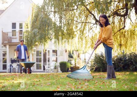 Mature Asian Couple Working In Garden At Home Raking And Tidying Leaves Into Barrow Stock Photo