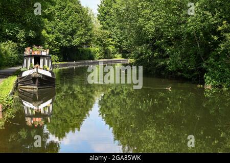 Newbury, Berkshire, England - June 2021: Front of a houseboat moored  on the Kennet and Avon Canal near the centre of Newbury with reflection. Stock Photo