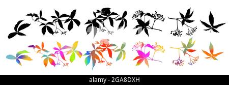 Set of multi-colored leaves. Vector illustration Stock Vector