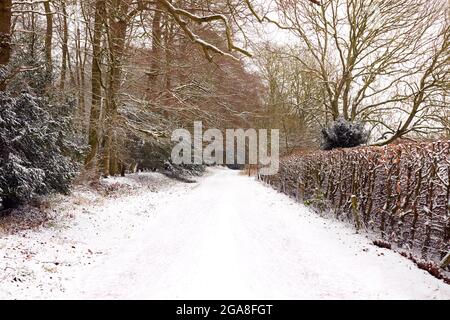 Tree Lined Track Through Countryside Covered In Winter Snow Stock Photo