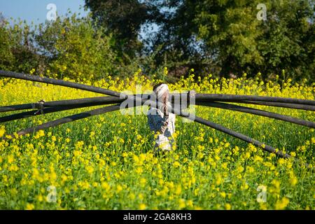 TIKAMGARH, MADHYA PRADESH, INDIA - JULY 23, 2021: Indian farmer standing in agricultural field. Stock Photo