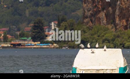 Seagulls rest on a boat during a sunny day with a view of the water and the mountains in the distance Stock Photo