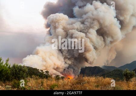 Forest fire near Marmaris resort town of Turkey. Stock Photo