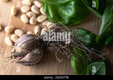 Garlic Head on a Wood Table with Pine Nuts and Basil Stock Photo