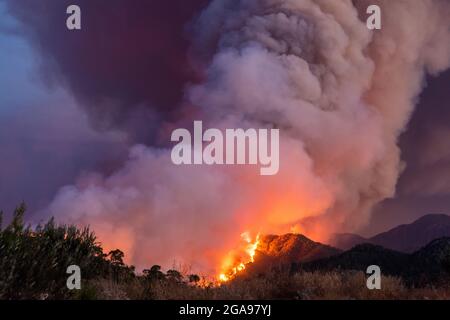 Forest fire near Marmaris resort town of Turkey. Stock Photo