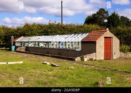 An old heated greenhouse in the village of Goathland, North Yorkshire, England, U.K. Stock Photo