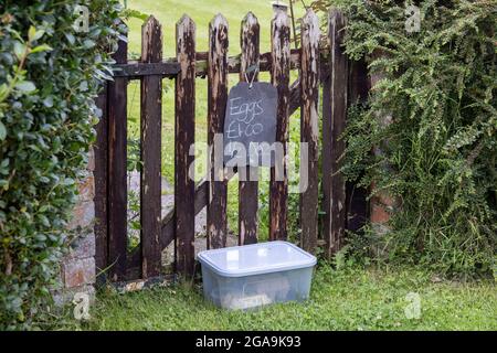 HANMER, CLWYD, WALES - JULY 10 : Eggs for sale in Hanmer, Wales on July 10, 2021 Stock Photo