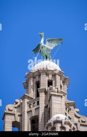 LIVERPOOL, UK - JULY 14 : Liver Bird Statue at the top of the Liver Building in Liverpool, England on July 14, 2021. Stock Photo