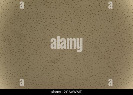 White hole porous surface texture background Stock Photo