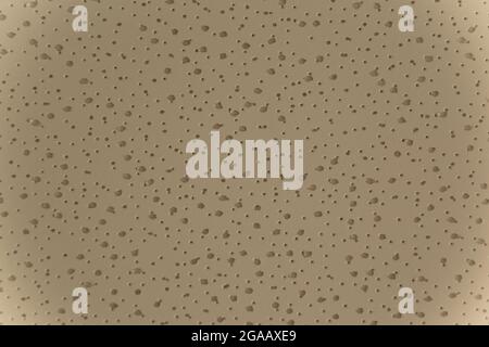 White hole porous surface texture background Stock Photo