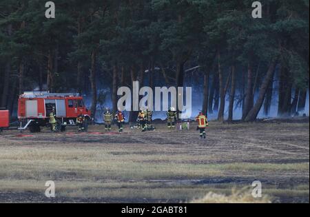 Mellenthin, Germany. 29th July, 2021. Firefighters extinguish a fire of farmland and forest in the area of the villages of Mellenthin as well as Neppermin on the island of Usedom. (to dpa 'Harvest fire destroys forest on Usedom - fire brigade stops flames') Credit: Tilo Wallrodt/dpa-Zentralbild/dpa/Alamy Live News Stock Photo