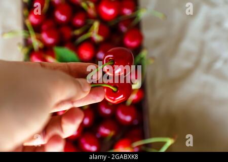Defocus female hand holding and hanging two sweet cherries tail on craft wrinkled old paper background and box of cherries. Organic food. Summer fruit Stock Photo