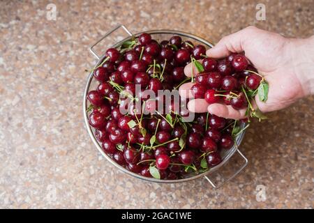 Ripe fresh cherries berry in man hand, top view Stock Photo