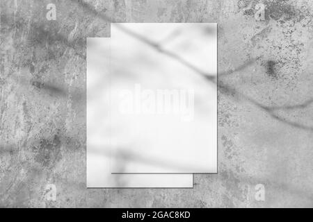 Two empty white rectangle poster mockups with tree shadow Stock Photo