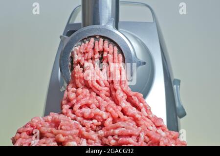 https://l450v.alamy.com/450v/2gacg92/raw-fresh-minced-meat-and-electric-meat-grinder-2gacg92.jpg
