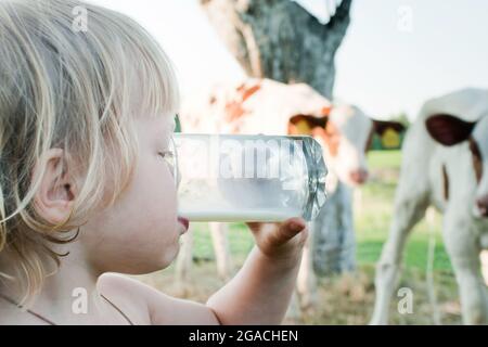 Little girl drinks milk from a glass on the background of the countryside with calves of cows on the farm