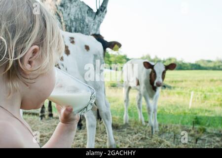 Little girl drinks milk from a glass on the background of the countryside with calves of cows on the farm
