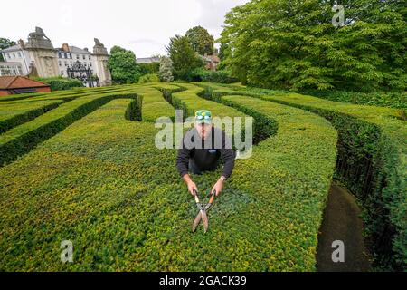 Hampton Court Palace gardener Anthony Bubb undertakes a final trim of the palace's maze in Surrey, before it reopens to visitors for the first time since March 2020. Picture date: Friday July 30, 2021. Stock Photo