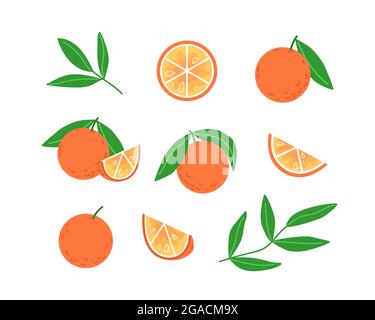 Collection of oranges and leaves in flat style Stock Vector