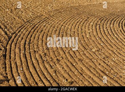 Farm field in the Chiltern Hills Oxfordshire England UK Stock Photo