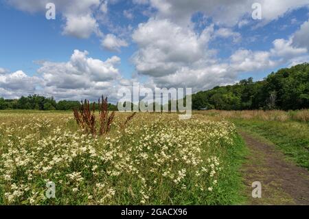 Chiltern Hills scenery South Oxfordshire England UK Stock Photo