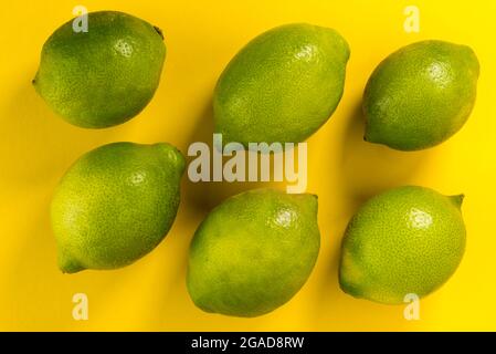 Green lemons of Siracusa, Sicilia, Italy, femminello variety, six fruits isolated on yellow background Stock Photo