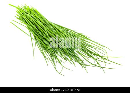 Fresh chives bunch isolated on white background Stock Photo