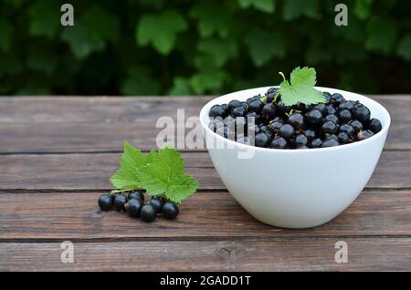 Freshly picked blackcurrant in a white bowl on a rustic wooden table. Concept of growing your own organic food. Stock Photo