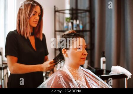 Competent female hairdresser deciding what haircut to do in hair salon with brunette female client. Two beautiful ladies discussing new hairstyle. Pro Stock Photo