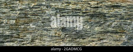 Abstract green gray natural stone with very rough surface in close-up Stock Photo