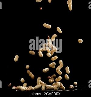 Realistic freeze motion of flying peanuts on black background. Stock Photo