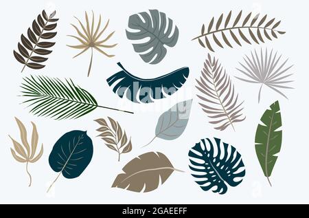 collection of tropical leaves isolated on white background, vector illustration Stock Vector