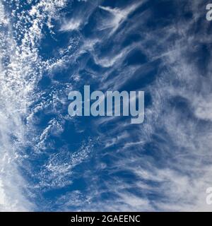 Dark sky with light clouds , may be used as background. Natural texture and space for your own text Stock Photo