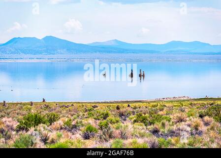 South Tufa Area. Mono Lake, Mono county, California, USA. Stock Photo