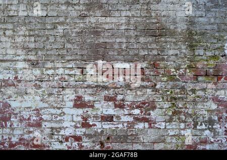 Old, Grimey Brick Texture with Moss at Alcatraz Island Stock Photo