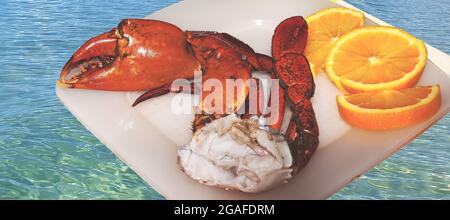 Australian Giant Mud Crab (Scylla serrata). freshly caught cleaned and cooked ready for the dinner table. Isolated on a plate over sea water backgroun Stock Photo