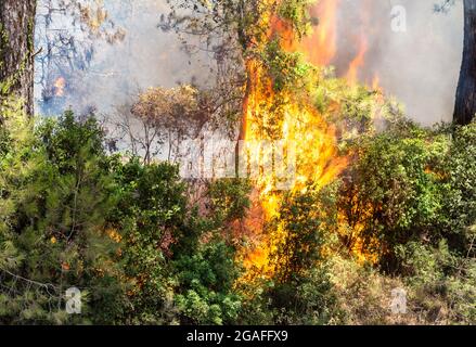 Marmaris, Mugla, Turkey – July 30, 2021. Flames of forest fire near Marmaris resort town of Turkey. Stock Photo