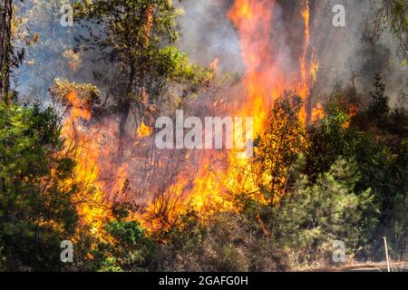 Marmaris, Mugla, Turkey – July 30, 2021. Flames of forest fire near Marmaris resort town of Turkey. Stock Photo