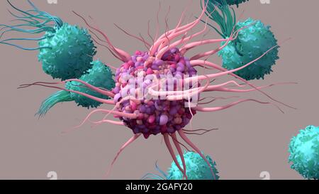 Dendritic cell activating T-cells, illustration Stock Photo