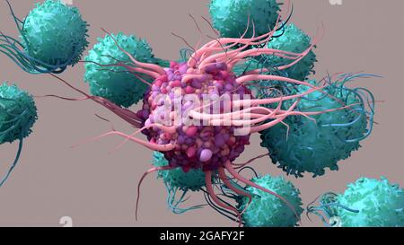 Dendritic cell activating T-cells, illustration Stock Photo