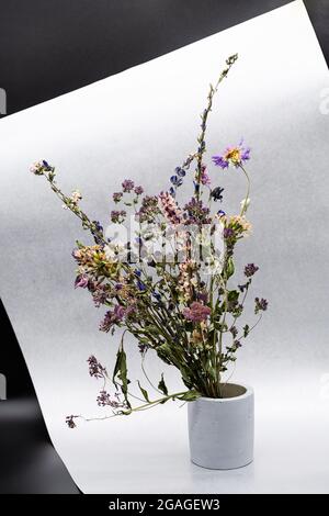 Dried flowers in concrete vase, atmospheric mood composition. Minimalism, stylish still life of bouquet beautiful dried flowers Stock Photo