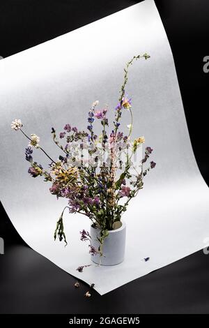 Dried flowers in concrete vase, atmospheric mood composition. Minimalism, stylish still life of bouquet beautiful dried flowers Stock Photo