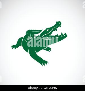 Vector of crocodile design on white background. Wild Animals. Reptile. Easy editable layered vector illustration. Stock Vector