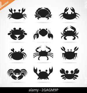 Set of vector crab icons on white background. Aquatic animals. Stock Vector
