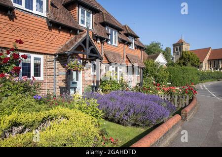 cottages and gardens in the village of chiddingfold in surrey Stock Photo